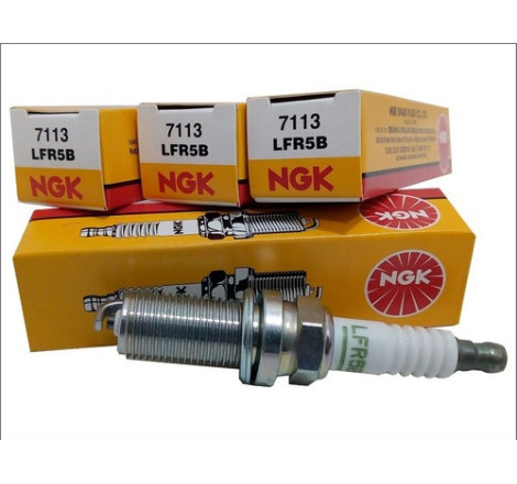 BUJIA NGK LFR5B BR/ CITROEN C2 1.4 C3 1.6 C4 1.6 C4 2.0 C5 1.8 C5 2.0 PEUGEOT 206 2.0/OE35 /10UN