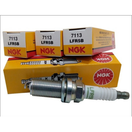 BUJIA NGK LFR5B BR/ CITROEN C2 1.4 C3 1.6 C4 1.6 C4 2.0 C5 1.8 C5 2.0 PEUGEOT 206 2.0/OE35 /10UN